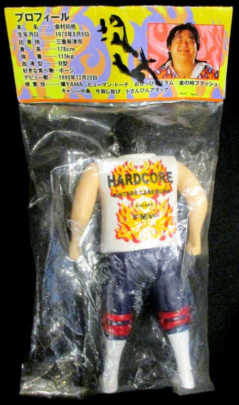 FMW akoart Kintaro Kanemura