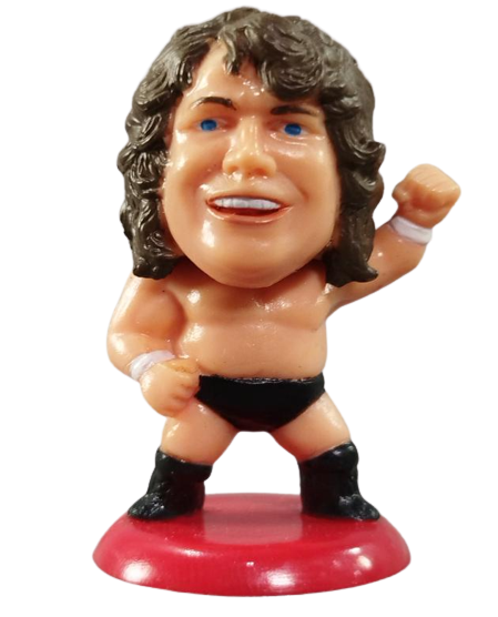 2007 CharaPro Mini Big Heads/Pro-Kaku Heroes Series 9 Terry Gordy