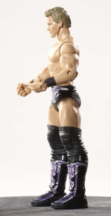 2010 WWE Mattel Basic Royal Rumble Heritage Series 1 Chris Jericho
