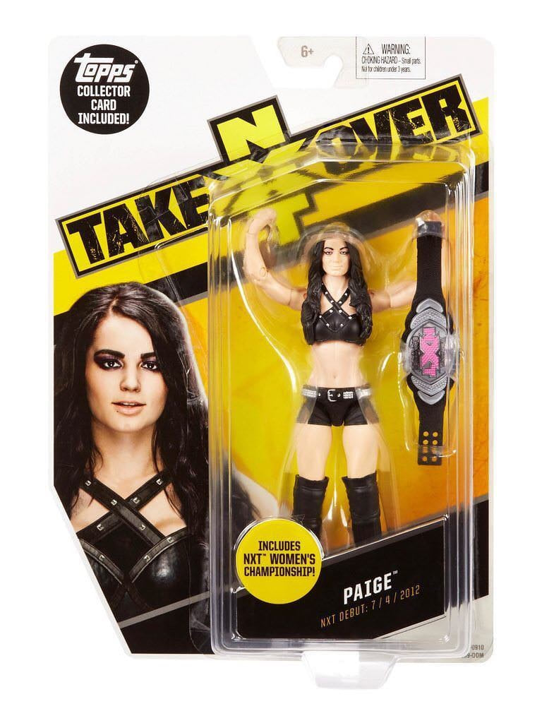 Unreleased WWE Mattel Basic NXT Takeover Series 3 Paige [Exclusive]
