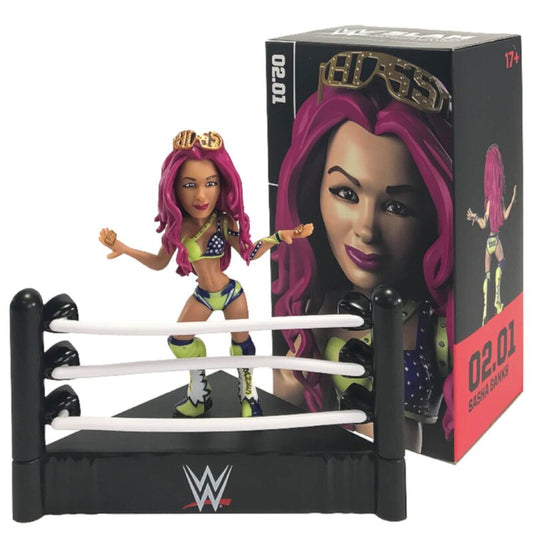 2017 WWE Loot Crate Slam Stars 2 02.01 Sasha Banks