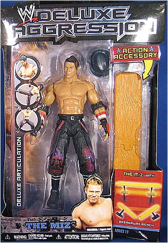 2008 WWE Jakks Pacific Deluxe Aggression Series 13 The Miz