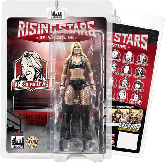 2017 FTC Rising Stars of Wrestling Amber Gallows