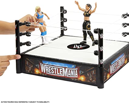 2022 WWE Mattel Basic Superstar Ring [Version 1]
