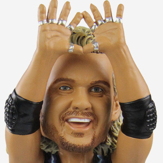 2023 WWE FOCO Bobbleheads Limited Edition Diamond Dallas Page