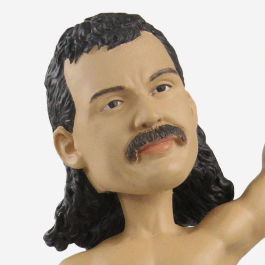 2023 WWE FOCO Bobbleheads Limited Edition Jake "The Snake" Roberts