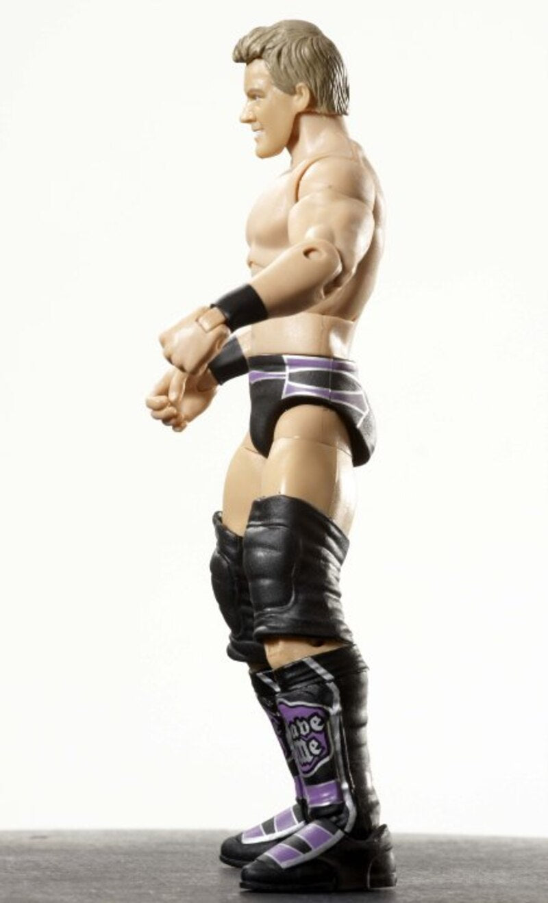 2010 WWE Mattel Elite Collection Series 4 Chris Jericho [With Purple Trunks]