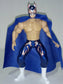 7" Articulated Bootleg/Knockoff Averno Mexican Arena Figure