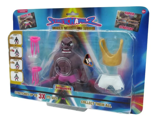 Sunny Stretchapalz World Wrestling Series Dynamite
