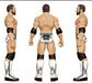2015 WWE Mattel Elite Collection Series 39 Damien Mizdow