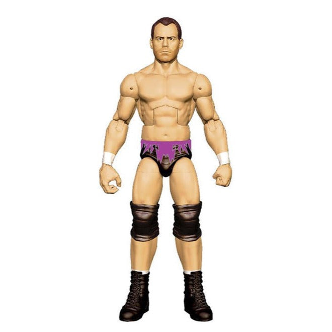 2015 WWE Mattel Elite Collection Series 37 Dean Malenko