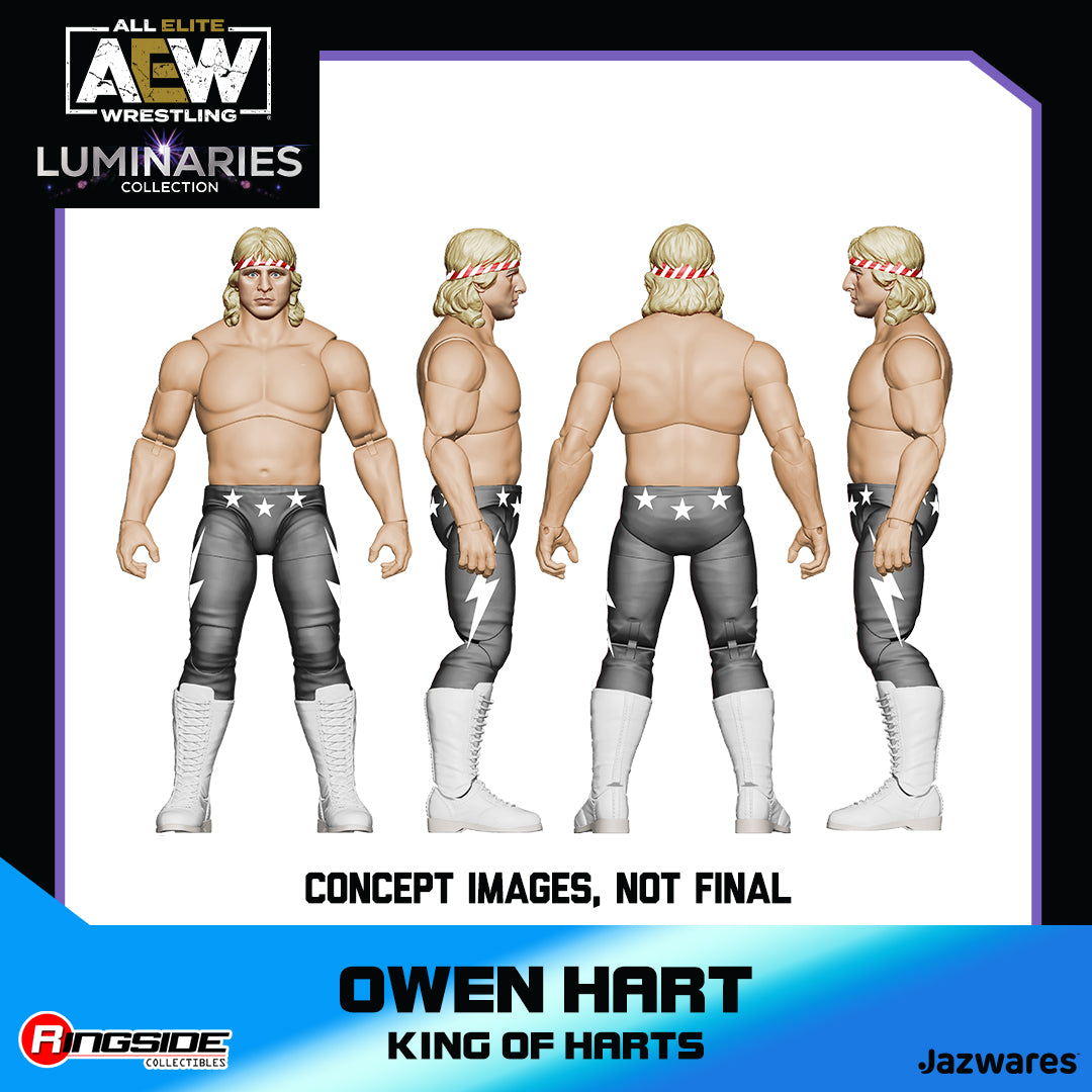 2022 AEW Jazwares Ringside Exclusive #103 Luminaries Collection King –  Wrestling Figure Database