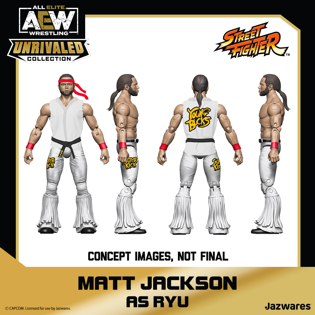 2022 AEW Jazwares Unrivaled Collection GameStop Exclusive Street Fighter Matt Jackson as Ryu