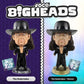 2023 WWE FOCO Bigheads Limited Edition Undertaker [Variant]
