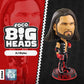 2023 WWE FOCO Bigheads Limited Edition AJ Styles
