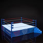 2022 WWE Mattel Creations Exclusive Ultimate Edition New Generation Arena