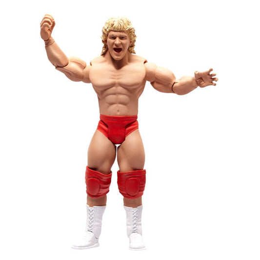 2010 TNA Wrestling Jakks Pacific Legends of the Ring Series 1 Jeff Jarrett