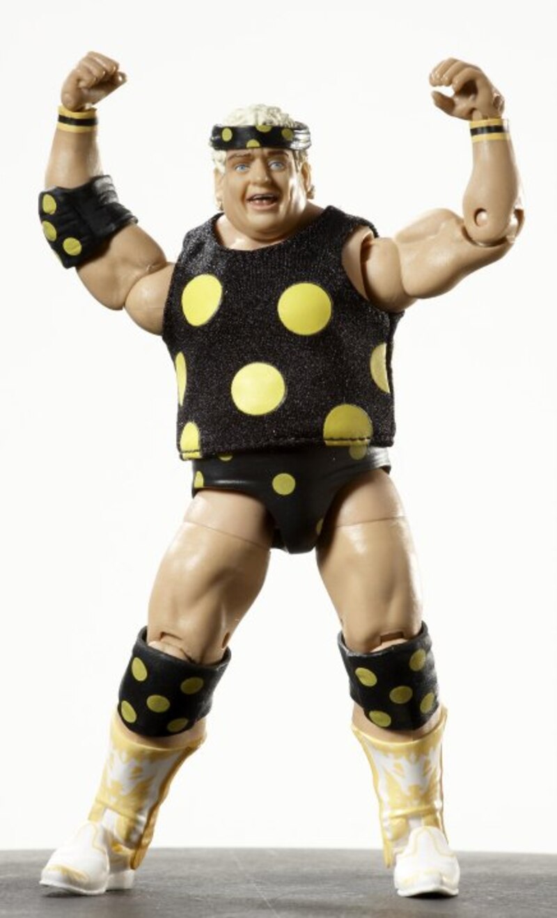 2010 WWE Mattel Elite Collection Legends Series 1 