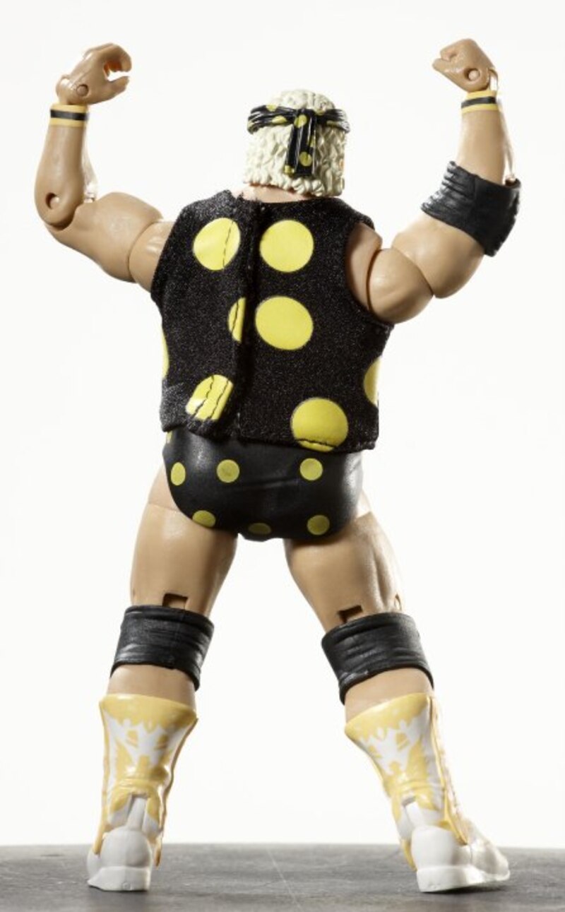 2010 WWE Mattel Elite Collection Legends Series 1 