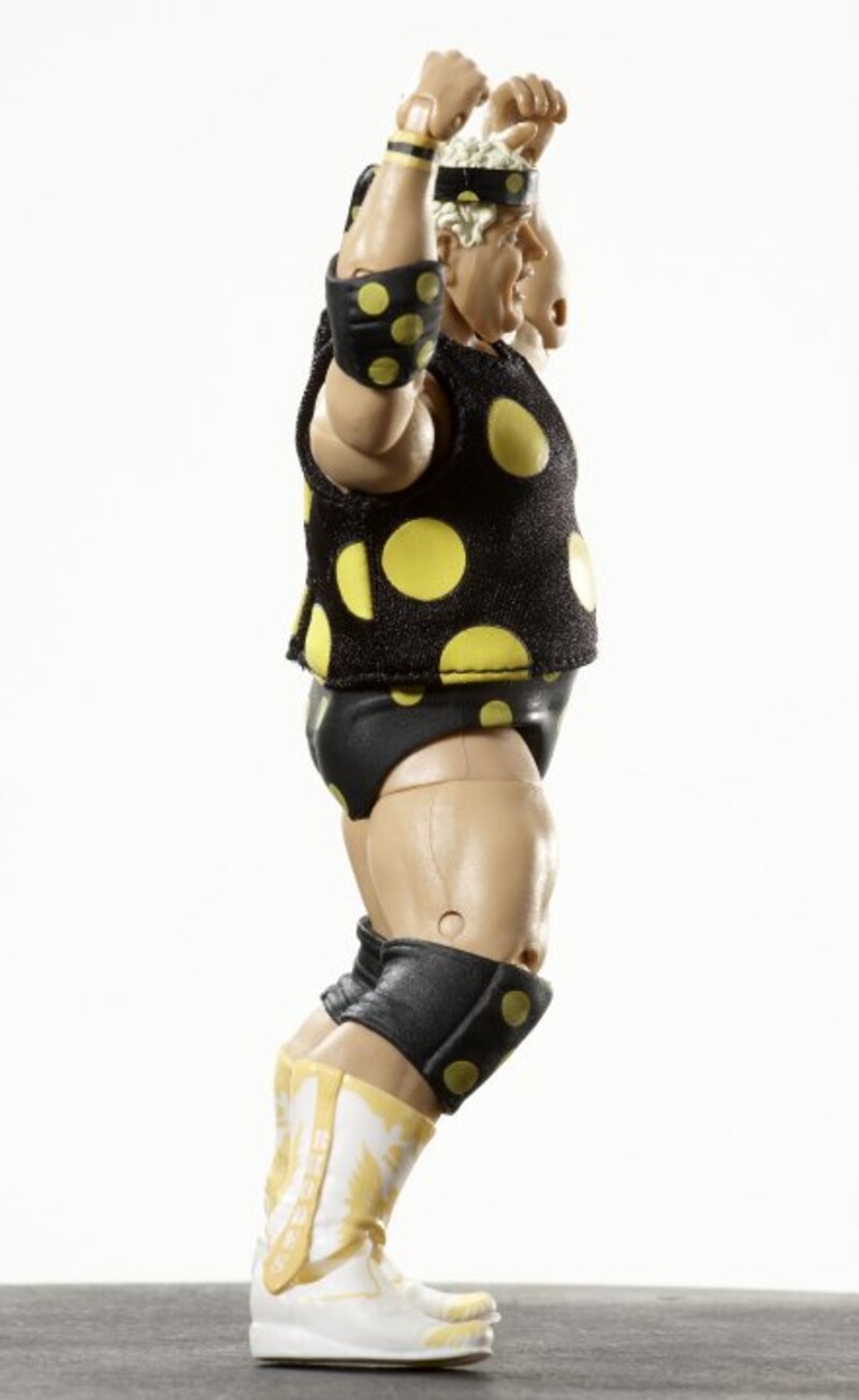 2010 WWE Mattel Elite Collection Legends Series 1 