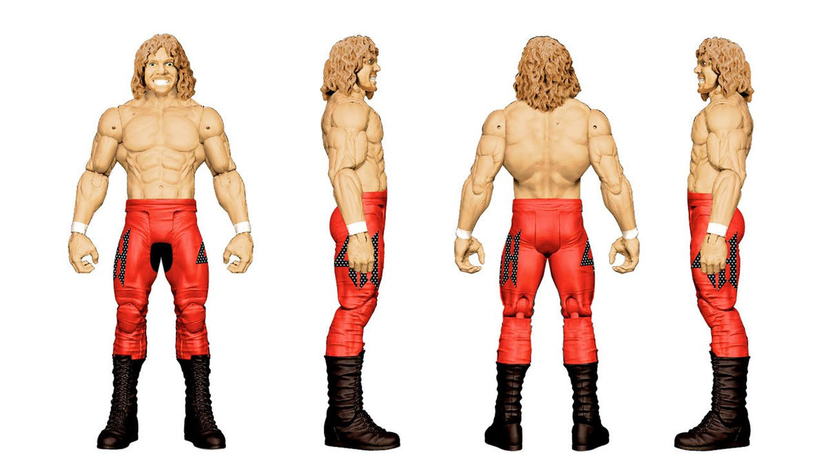 2015 WWE Mattel Basic Then, Now, Forever Multipack: Dean Ambrose & Bri ...