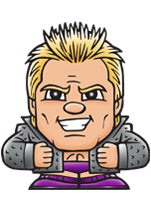 2016 Party Animal Toys WWE TeenyMates Series 2 Chris Jericho