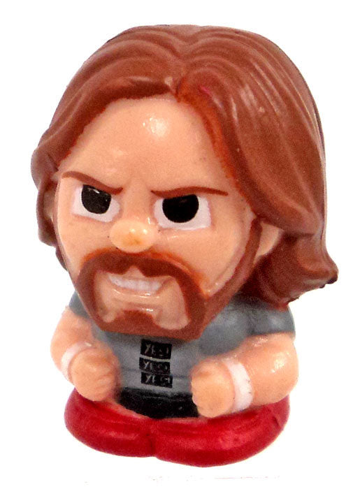 2015 Party Animal Toys WWE TeenyMates Series 1 Daniel Bryan