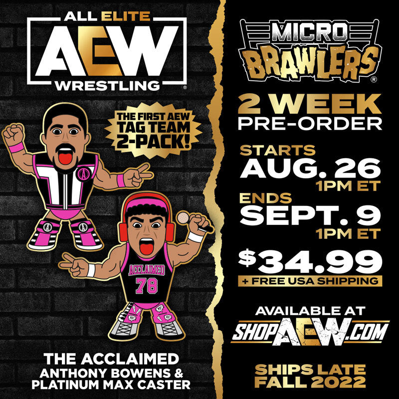 Cyber Monday - 20% Off 2 Brand New AEW Micro Brawlers - All Elite Wrestling