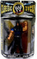 2008 WWE Jakks Pacific Classic Superstars Series 22 Matt Hardy