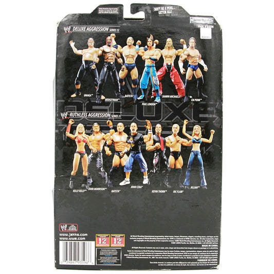 2008 WWE Jakks Pacific Deluxe Aggression Series 12 Shawn Michaels