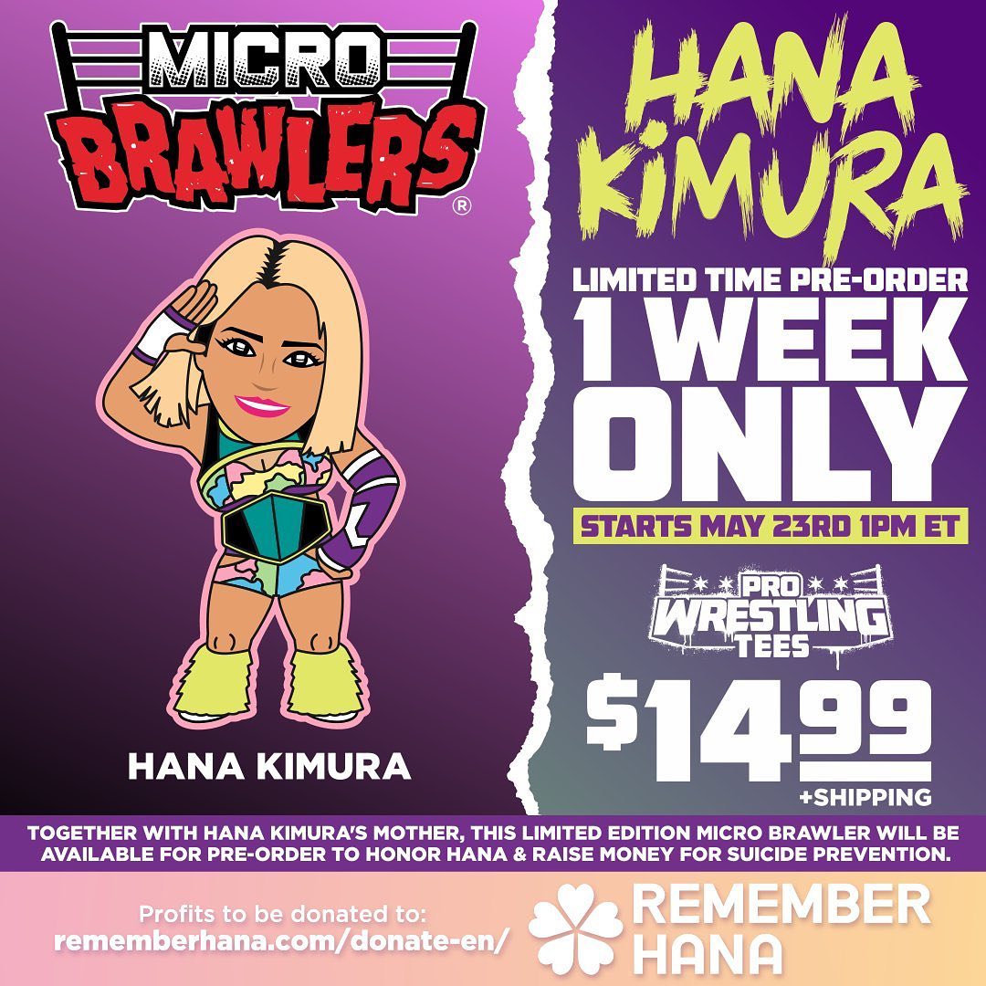 2022 Pro Wrestling Tees Micro Brawlers Limited Edition Hana Kimura –  Wrestling Figure Database