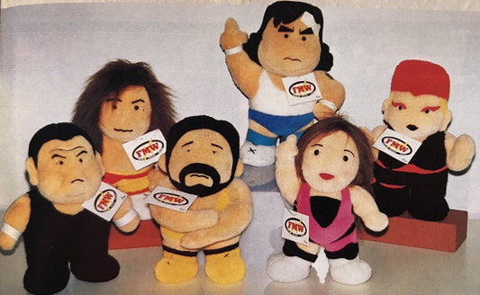 1993 FMW Nakajima Corporation Sambo Asako