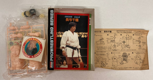 All Japan Women's Pro Wrestling Arii Pro-Wrestling Series Chigusa Nagayo