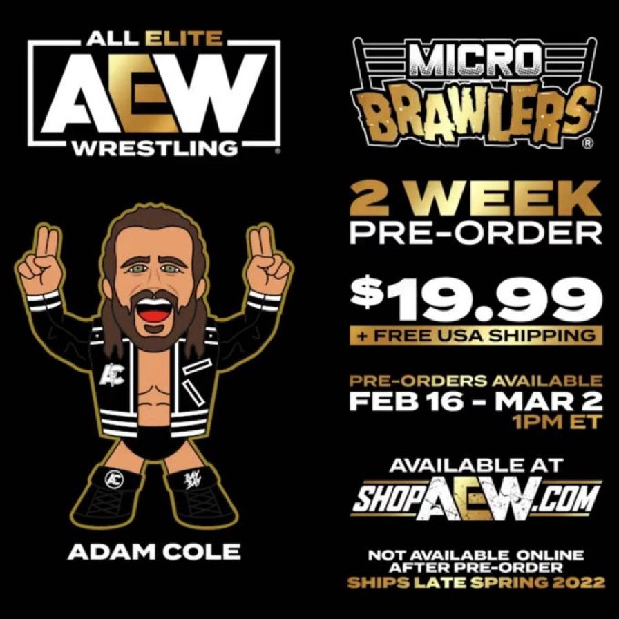 2022 AEW Pro Wrestling Tees Micro Brawlers Limited Edition Adam Cole –  Wrestling Figure Database