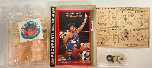 1985 All Japan Women's Pro Wrestling Arii Pro-Wrestling Series Lioness Asuka