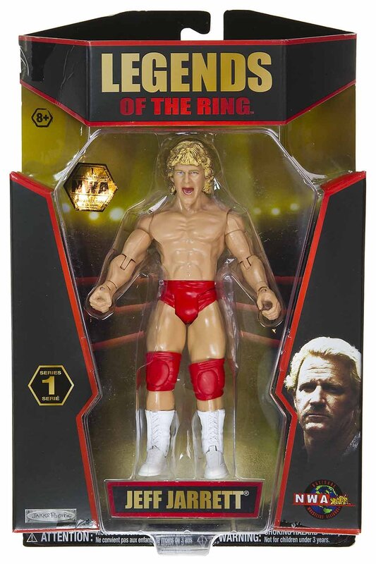 2010 TNA Wrestling Jakks Pacific Legends of the Ring Series 1 Jeff Jarrett