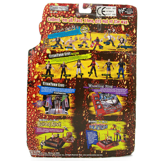 1999 WWF Jakks Pacific Maximum Sweat Series 4 Road Dogg