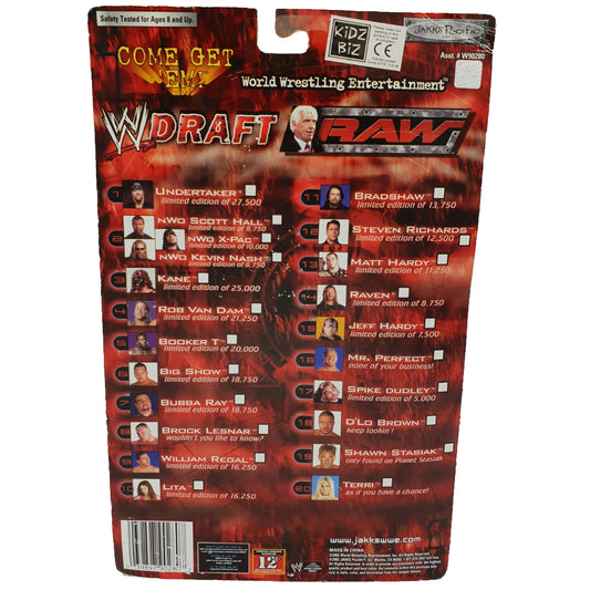 2002 WWE Jakks Pacific Raw Draft R-3 Tech Rob Van Dam