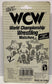 1991 WCW Hope Industries Inc. Sting Keychain & Zipper Pull