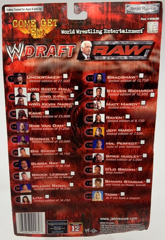 2002 WWE Jakks Pacific Raw Draft Titantron Live Bubba Ray Dudley