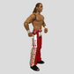 2013 WWE Mattel Basic Series 26 #14 Shawn Michaels
