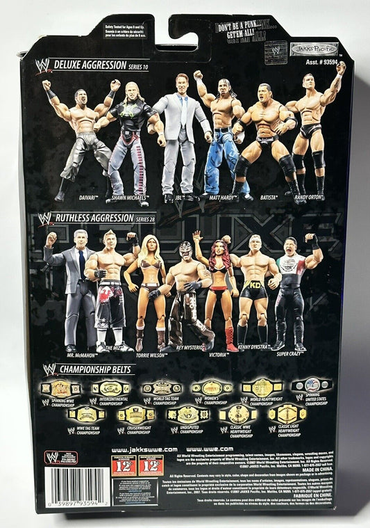 2007 WWE Jakks Pacific Deluxe Aggression Series 10 Matt Hardy