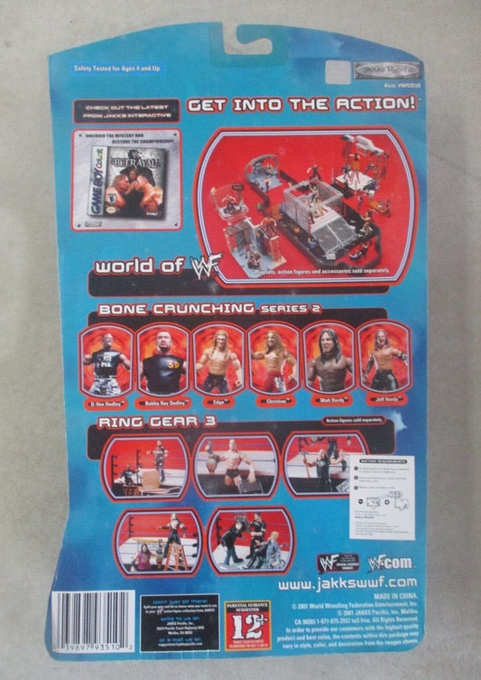 2001 WWF Jakks Pacific Titantron Live Signature Jams Series 2 Matt Hardy