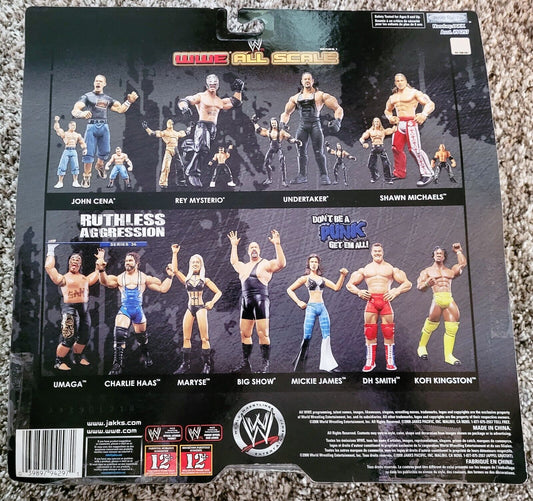 2008 WWE Jakks Pacific WWE All Scale Series 1 Rey Mysterio