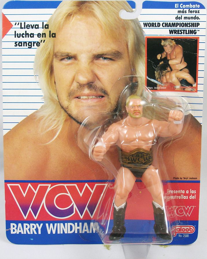 1990 WCW Galoob Series 1 Barry Windham – Wrestling Figure Database