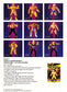 Unreleased 1995 WCW OSFTM Collectible Wrestlers [LJN Style] Series 1 Sting