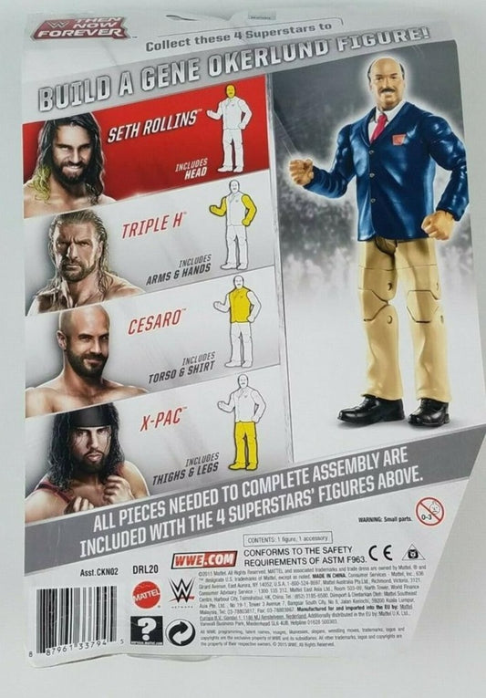 2015 WWE Mattel Basic Then, Now, Forever Seth Rollins [Exclusive]