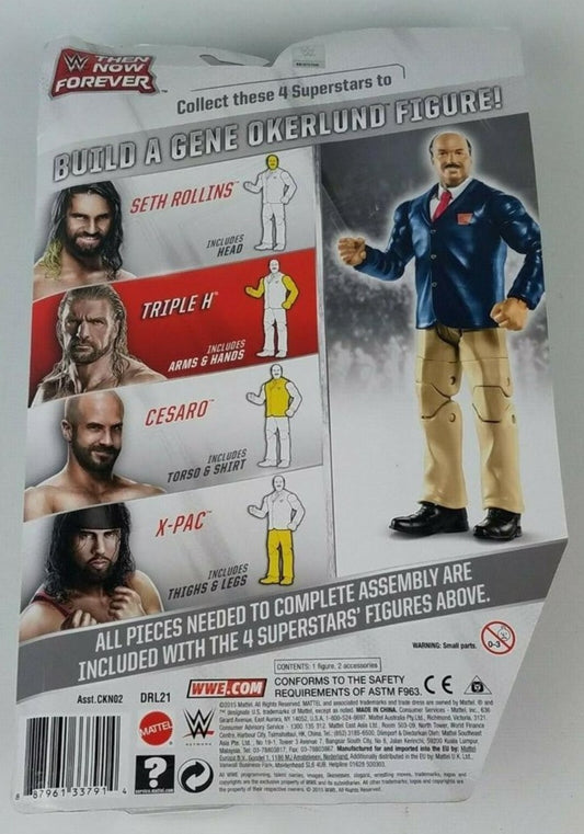 2015 WWE Mattel Basic Then, Now, Forever Triple H [Exclusive]