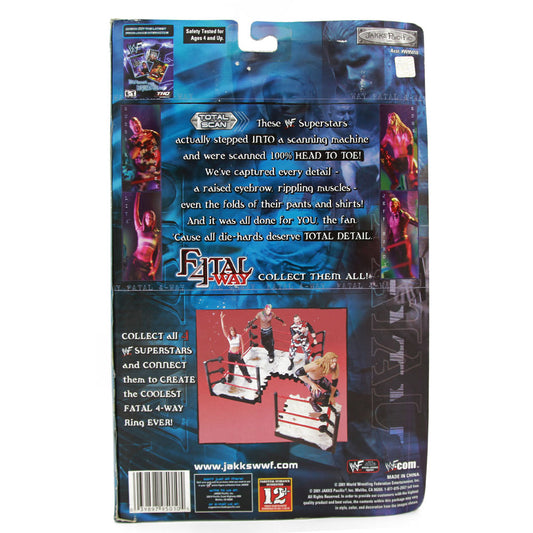 2001 WWE Jakks Pacific Fatal Four Way Series 1 Jeff Hardy